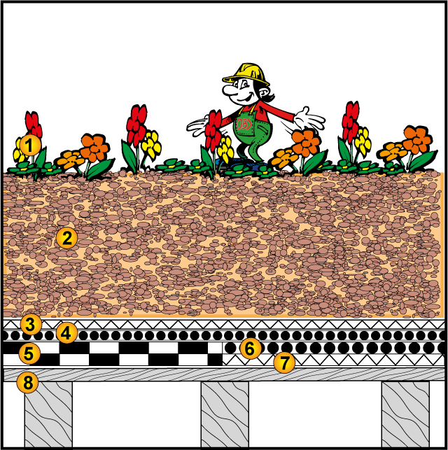 Gründach extensiv, Carport, ab 2% Gefälle, 0 Liter Wasserspeicher/m², Sedum-Sprossen