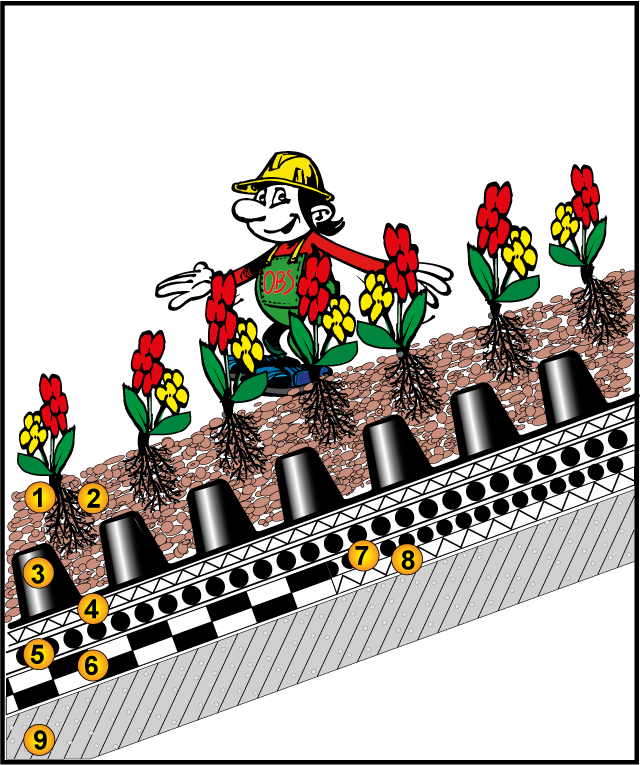 Gründach extensiv-Schrägdach, ab 15°-25° Gefälle, ohne Wasserspeicher, Sedum-Flachballen